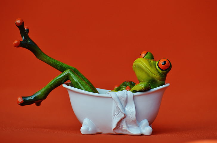 frog, bath, swim, relaxation, relax, funny, body care