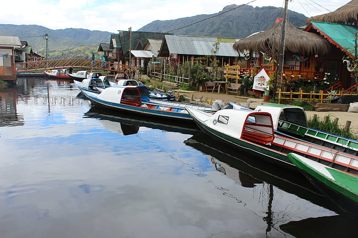 kanoter, båtar, luckor, gräs, turism