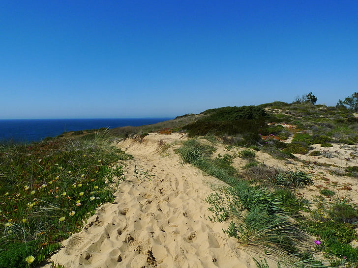 sand, path, footprint, shore, grass, island, tranquil
