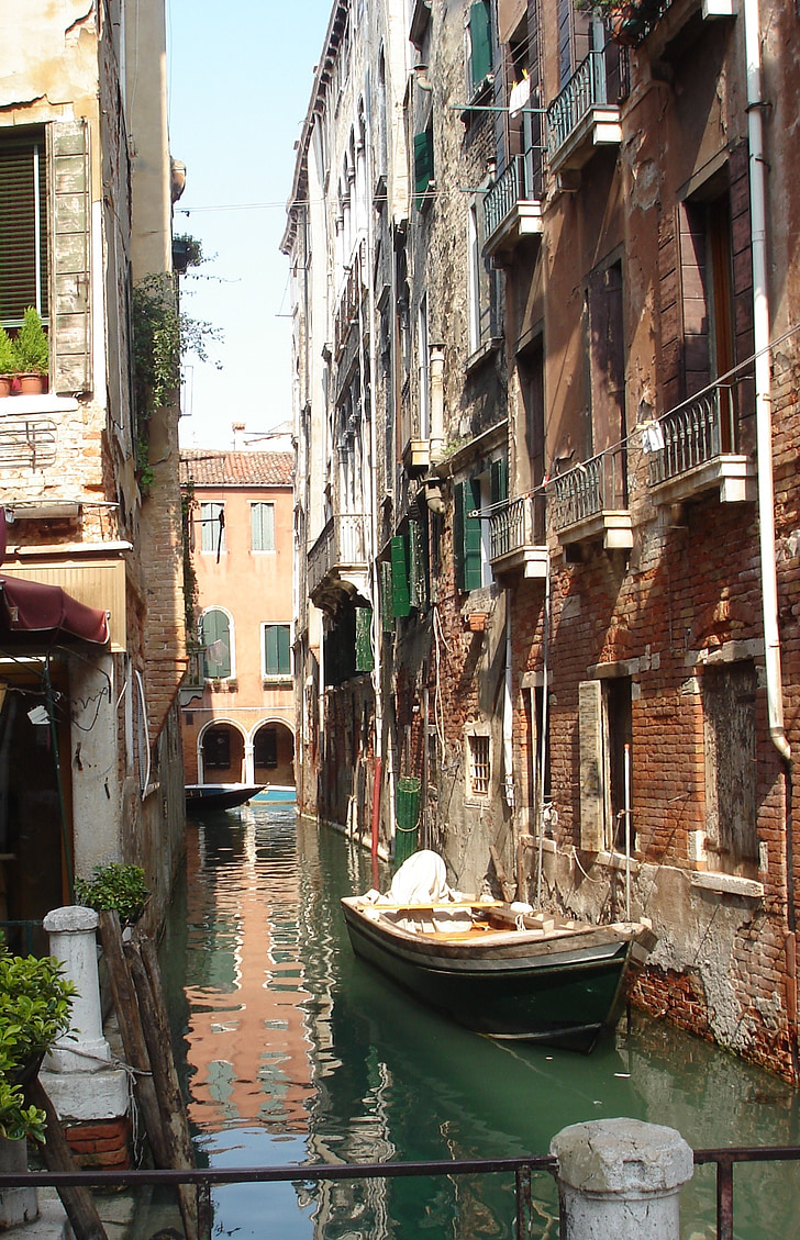 Βενετία, Ιταλία, βαρκάδα, νερό, σπίτια, τριαντάφυλλο, βάρκα