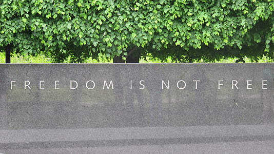 Вашингтон, Ветераны Вьетнама, война, Мемориал, военные