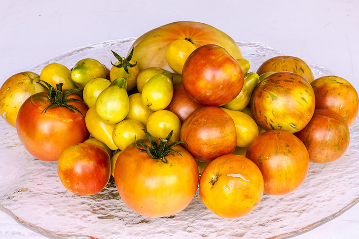tomater, skörd, röd, gul, vegetabiliska, jordbruk, ekologisk
