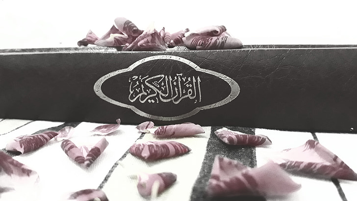 Koranen, blomst, bog, religion, islam, sort