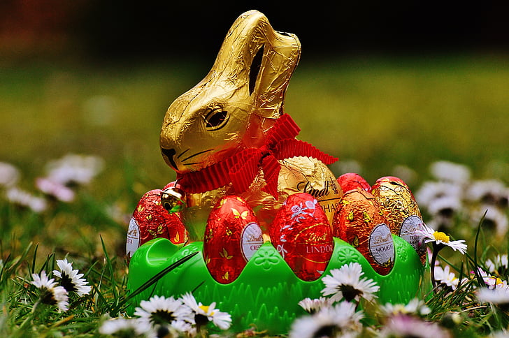 Hare, Lễ phục sinh, sô cô la, đồng cỏ mùa xuân, hoa dại, màu xanh, Hoa