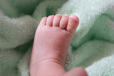 baby foot, infant, leg, child, baby, newborn, love