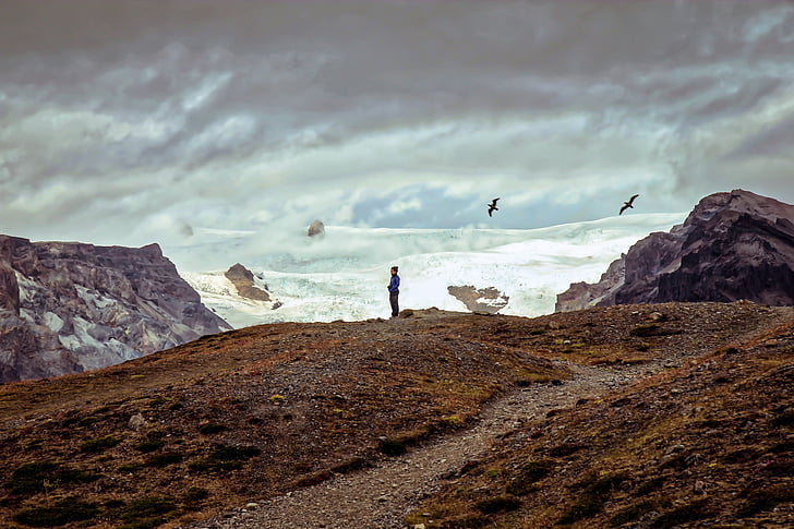people, woman, alone, nature, landscape, bird, ocean