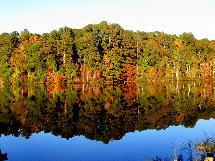 Lago, água, árvore, paisagem, cenário, natureza, Outono