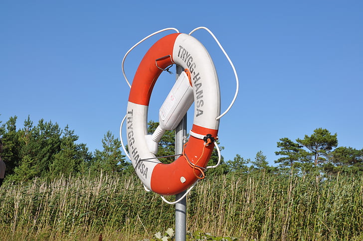 lifebuoy, buoy, rescue, reed