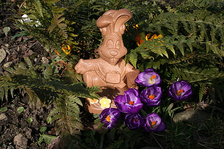 easter bunny, nature, chocolate, easter, grass, spring, crocus