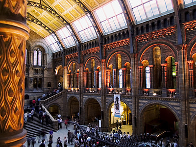 Muzeum přírodní historie, Londýn, Architektura, Muzeum, Historie, přírodní, Velká Británie