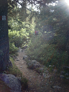 Les, pryč, Lichtspiel, pěší turistika, cesta, stezka, lesní cesta
