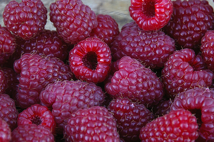 summer, raspberries, fruits, red, close, ripe, sweet