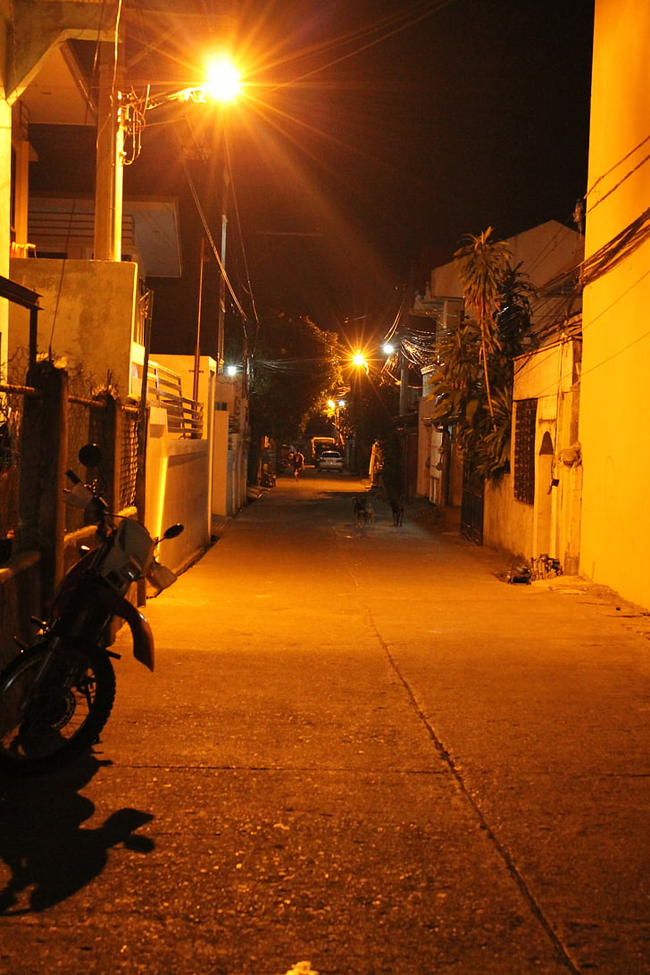 Streetlight, világos, utca, éjszaka, város, senki sem, közúti
