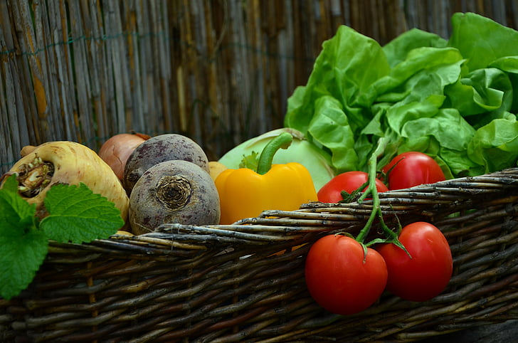 produtos hortícolas, tomate, cesto de vegetal, salada, jardim, colheita, Frisch