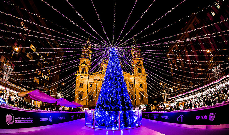 Budapest, Advent, tisztességes, éjjel, fény, karácsonyfa, fenyő