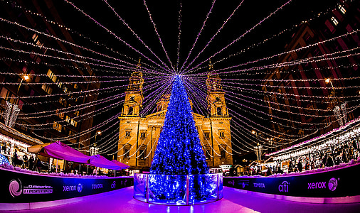 Budapeštas, Advento, tikroji, naktį, šviesos, Kalėdų eglutė, pušis