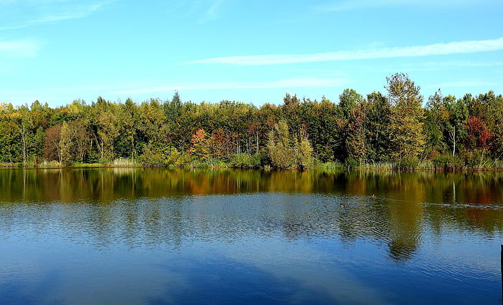 jezero, šuma, jesen, stabla, priroda, vode, raspoloženje