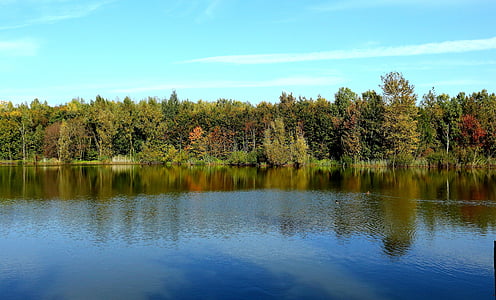 Lago, foresta, autunno, alberi, natura, acqua, stato d'animo