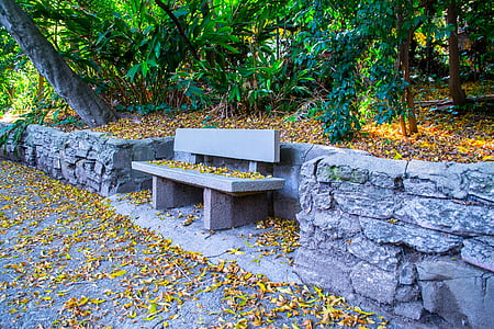 bench, dried leaves, environment, forest, leaves, nature, park