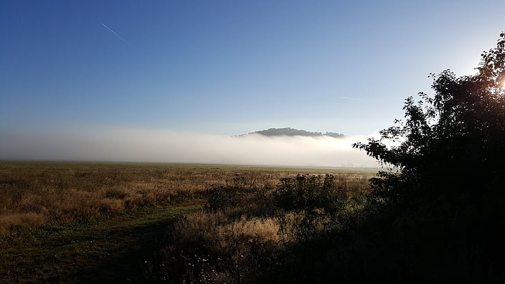 montagne de cerf, matin, le brouillard, paysage, nature, lever du soleil