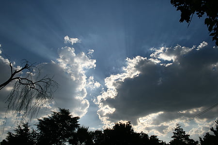 스카이, 구름, 단풍 실루엣, 빛 구름을 둘러싼, 라이트 빔 eminating, 푸른 하늘, 백라이트