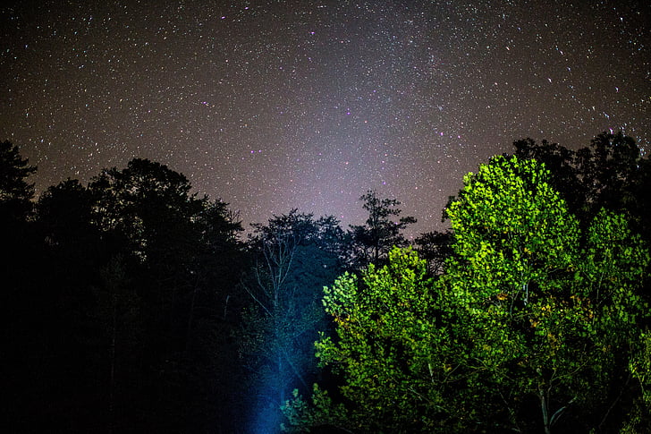photography, midnight, trees, nature, green, galaxies, stars