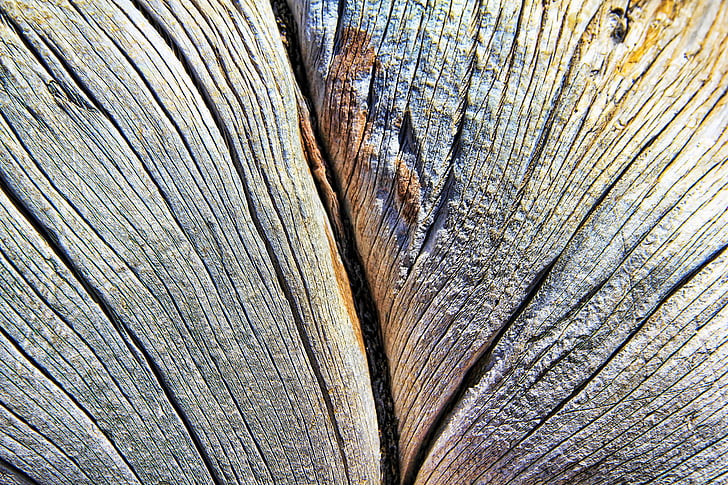texture, wood, lines, grain, structure, background, pattern