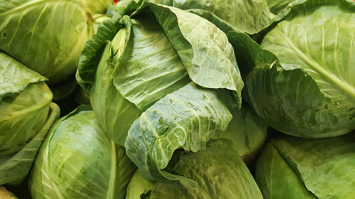 cabbage, leafy, vegetable, food, grocery, healthy, fresh