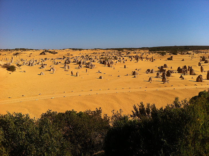 Australie, pinacles, Parc national de Nambung, West Australia, Australie, antique, sculptures du désert