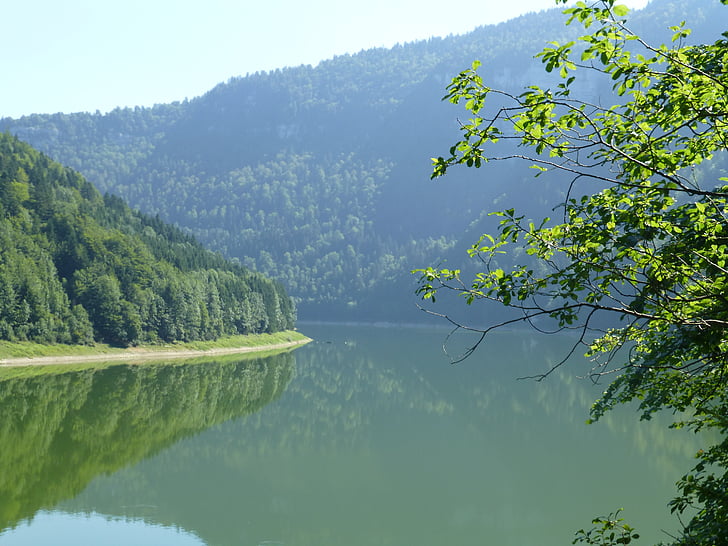 naturaleza, agua, bosque, paisaje, Jura, Lago, árbol