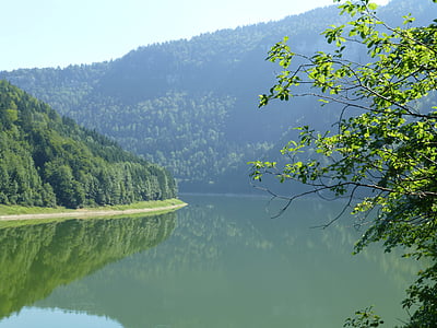 daba, ūdens, meža, ainava, Jura, ezers, koks