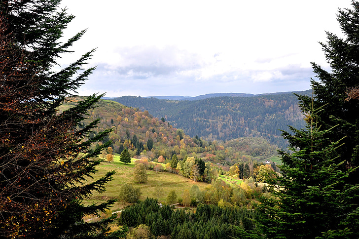 syksyllä, Vosges, Luonto, vuoret, Ranska
