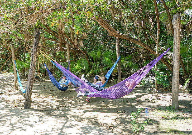 Belize, Bacab jungle park, hamaki, ludzie, osoba, relaksujący tropikalny, podróży