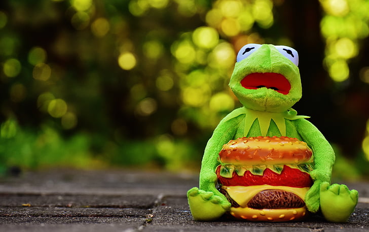Kermit, frosk, cheeseburger, hamburger, morsom, dyr, utstoppede dyr
