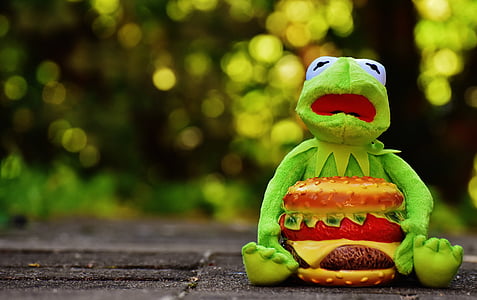 Kermit, katak, burger keju, hamburger, Lucu, hewan, boneka binatang