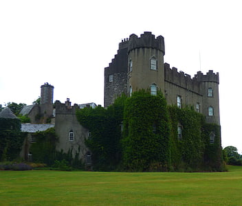 Castelo, Irlanda, Irlandês, Turismo, velho, arquitetura, histórico