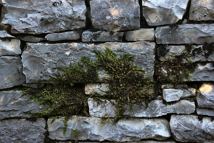rocks, stone wall, moss, green, wall, old