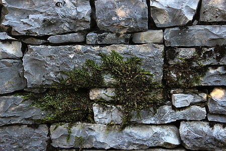 akmenų, akmeninė siena, samanų, žalia, sienos, senas