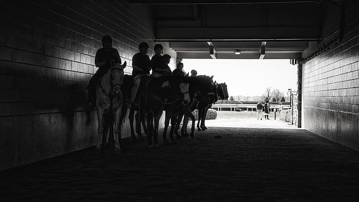 corrida de cavalos, pista de corrida, Derby, desporto, corridas de cavalos, animal, movimento