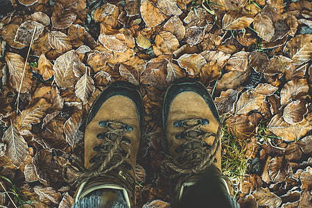 Sepatu, Sepatu Hiking, Hiking, sepatu gunung, kenaikan, Kolam, tali sepatu