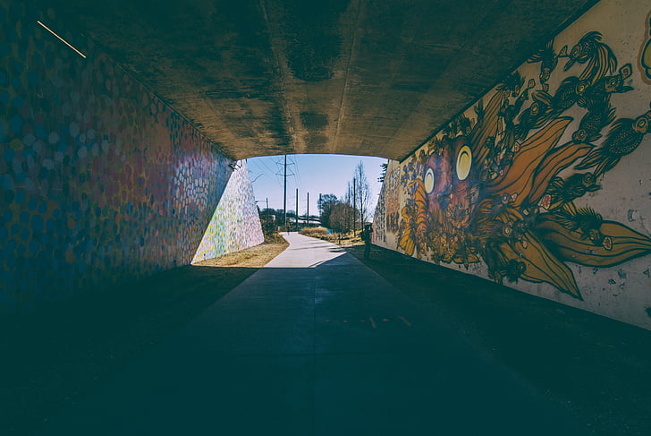 tunnel, graffiti, spray verf, pad, natuur