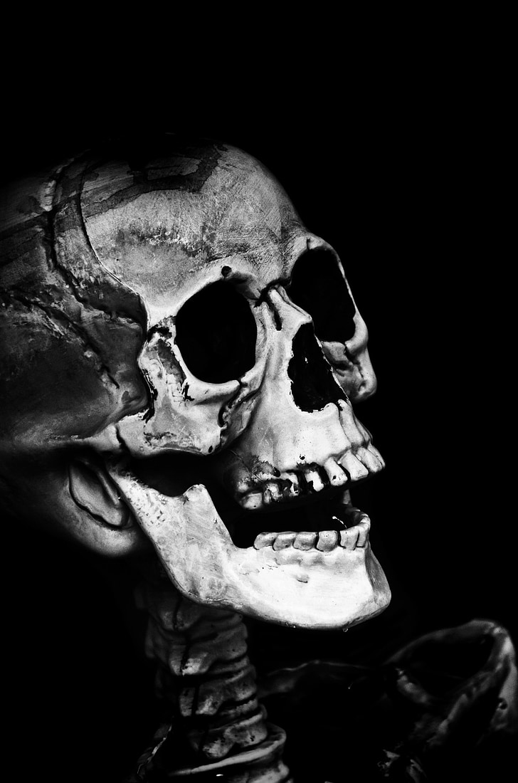 craniu, Halloween, oameni, masca, Dummy, înfricoşător, Sarbatori
