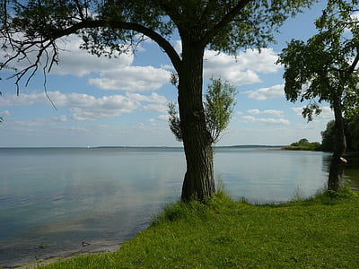 summer, lake, nature, rest, recovery, water, harmony