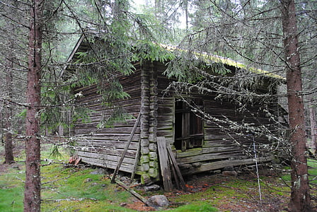 barn, floberget, dala, floda, sweden, woods, remote
