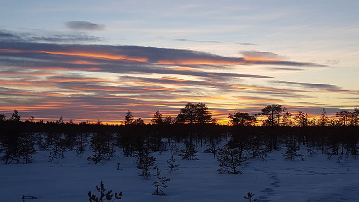 zalazak sunca, Sunce, večer, močvara, finski, nebo, Zima