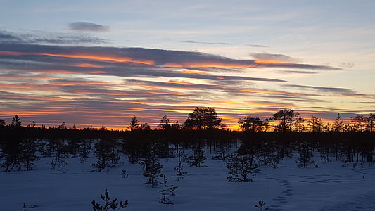 Západ slunce, slunce, večer, bažina, Finština, obloha, Zimní