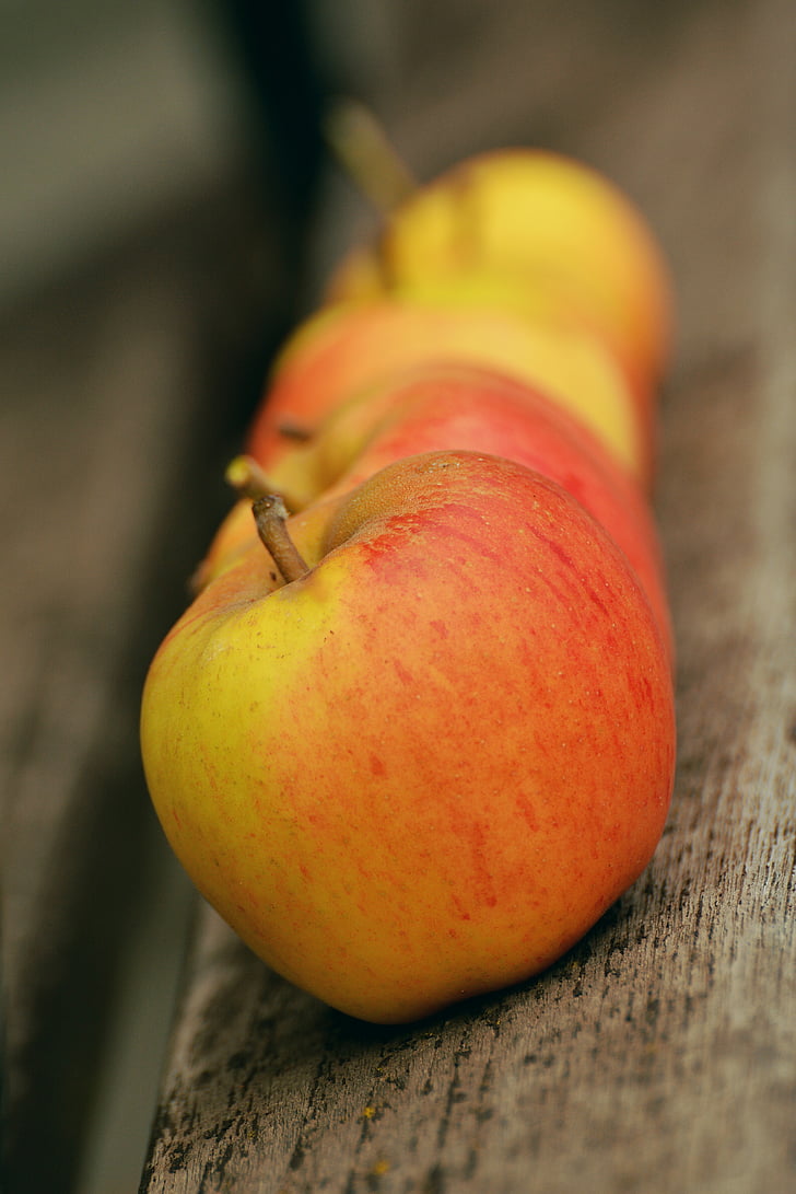 Apple, Goldparmäne, fruta, ganancia inesperada, jardín, serie, alineados