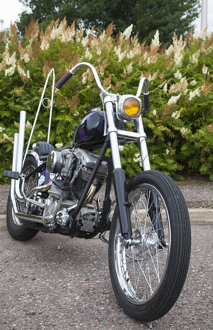 motorsykkel, bygget i det, egendefinerte, styret, front gaffel, sykkel, søkemotor