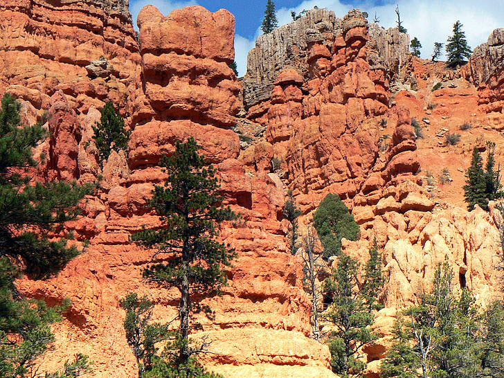 USA, Cliff, Bryce canyon, nationalparken, Panorama, turist plats, landskap