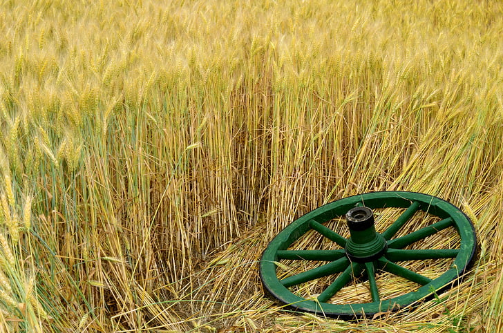 summer, cart, wheel, wheat, nature
